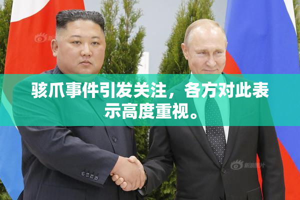 骇爪事件引发关注，各方对此表示高度重视。