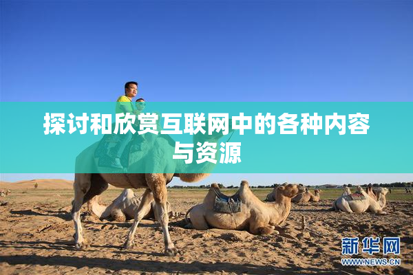 探讨和欣赏互联网中的各种内容与资源