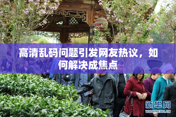 高清乱码问题引发网友热议，如何解决成焦点