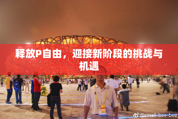 释放P自由，迎接新阶段的挑战与机遇