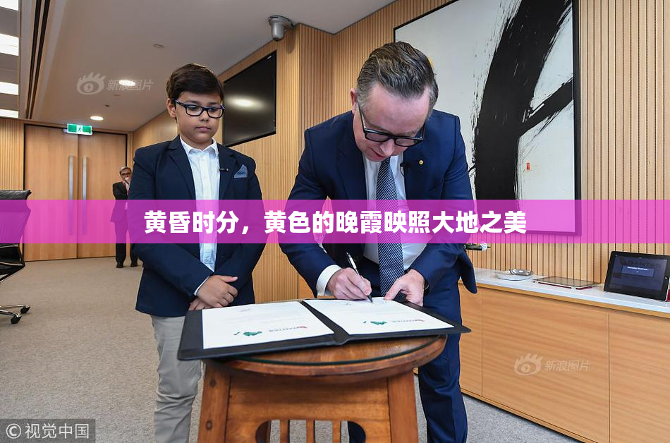 黄昏时分，黄色的晚霞映照大地之美