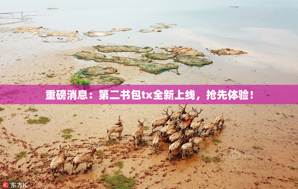 重磅消息：第二书包tx全新上线，抢先体验！