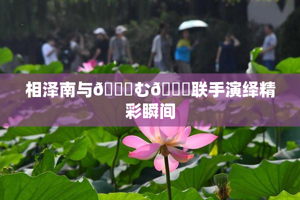相泽南与😚む🍍联手演绎精彩瞬间