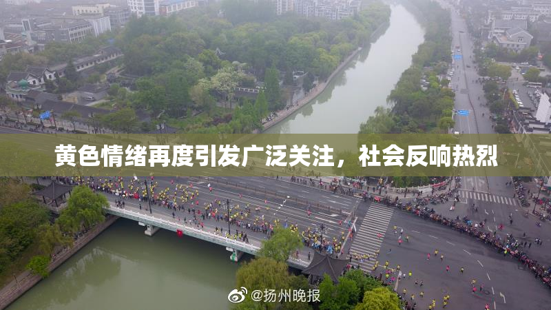 黄色情绪再度引发广泛关注，社会反响热烈