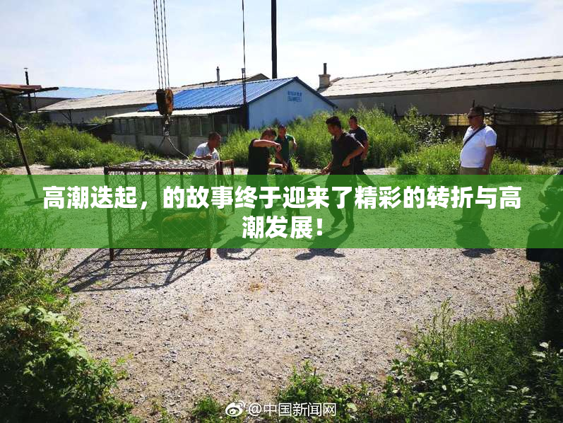 高潮迭起，的故事终于迎来了精彩的转折与高潮发展！
