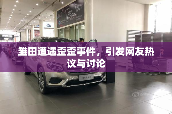 雏田遭遇歪歪事件，引发网友热议与讨论