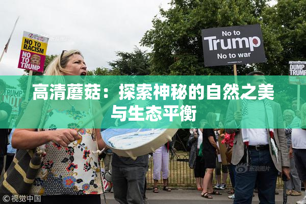 高清蘑菇：探索神秘的自然之美与生态平衡