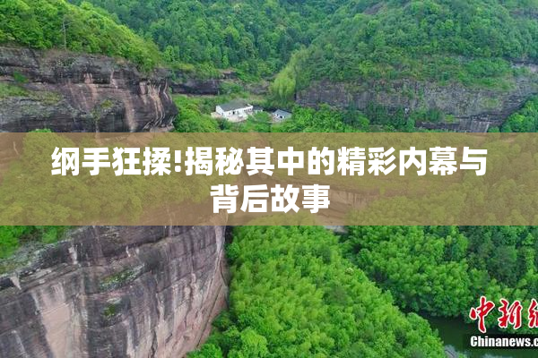 纲手狂揉!揭秘其中的精彩内幕与背后故事