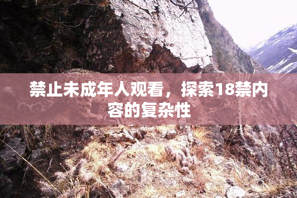 禁止未成年人观看，探索18禁内容的复杂性
