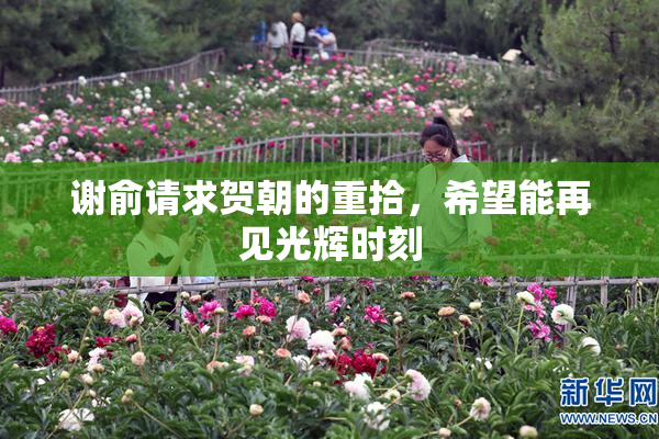 谢俞请求贺朝的重拾，希望能再见光辉时刻