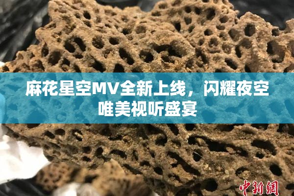 麻花星空MV全新上线，闪耀夜空唯美视听盛宴