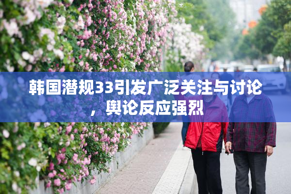 韩国潜规33引发广泛关注与讨论，舆论反应强烈