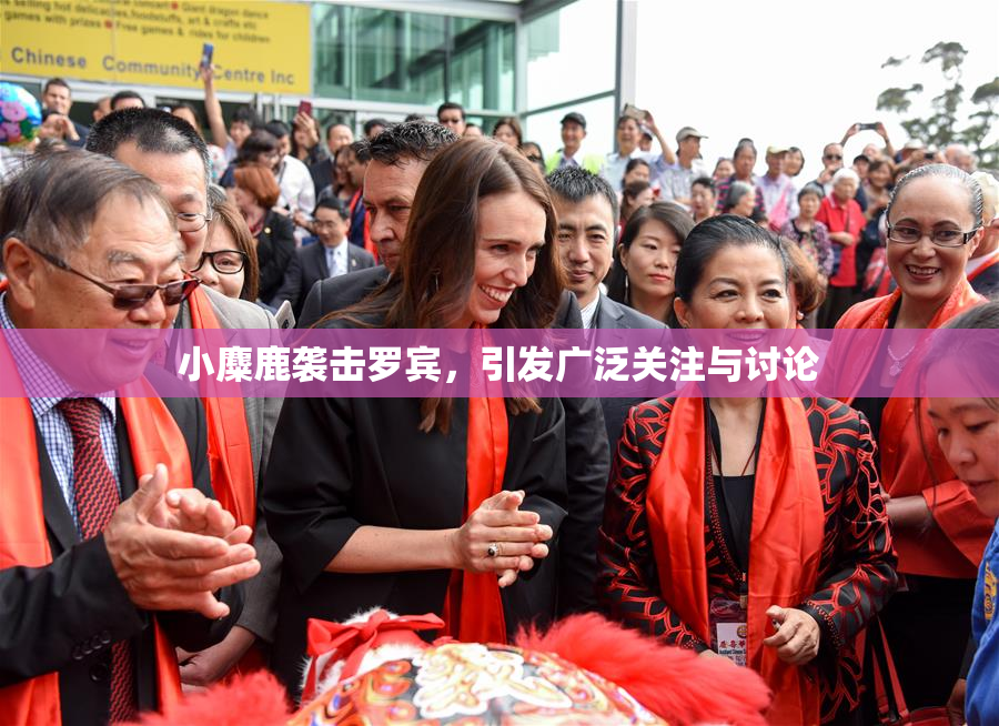 小麋鹿袭击罗宾，引发广泛关注与讨论