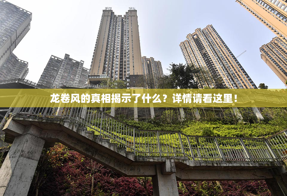 龙卷风的真相揭示了什么？详情请看这里！