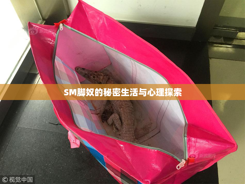 SM脚奴的秘密生活与心理探索