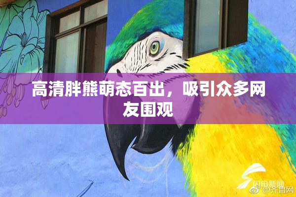 高清胖熊萌态百出，吸引众多网友围观