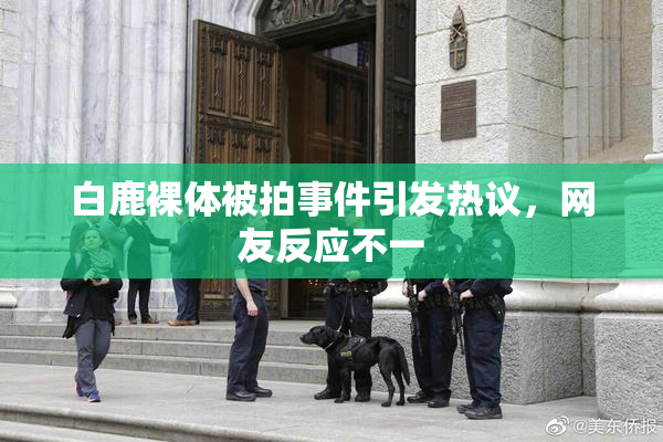 白鹿裸体被拍事件引发热议，网友反应不一