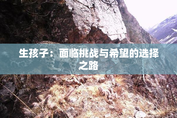 生孩子：面临挑战与希望的选择之路