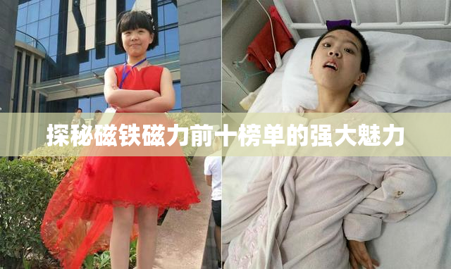 探秘磁铁磁力前十榜单的强大魅力