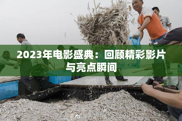 2023年电影盛典：回顾精彩影片与亮点瞬间