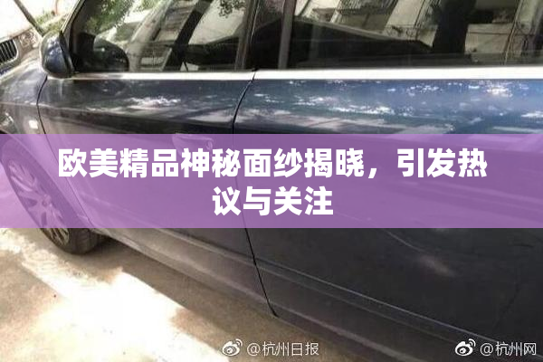欧美精品神秘面纱揭晓，引发热议与关注