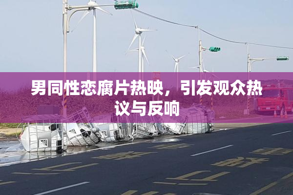 男同性恋腐片热映，引发观众热议与反响