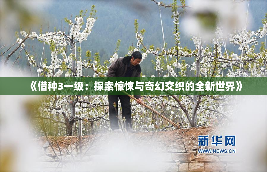 《借种3一级：探索惊悚与奇幻交织的全新世界》