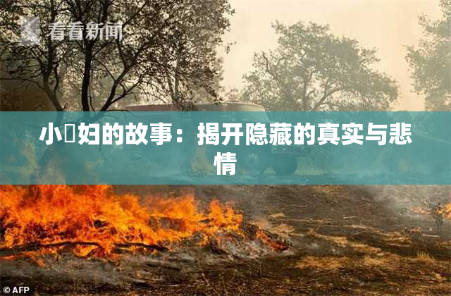 小婬妇的故事：揭开隐藏的真实与悲情