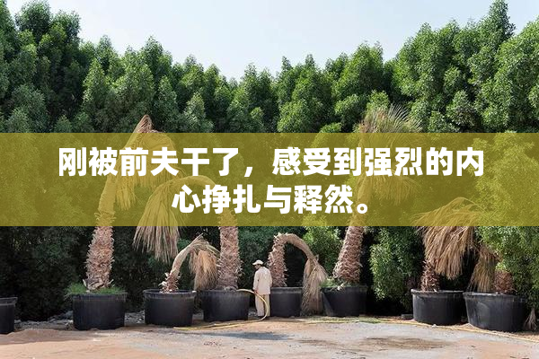 刚被前夫干了，感受到强烈的内心挣扎与释然。