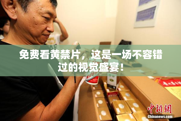 免费看黄禁片，这是一场不容错过的视觉盛宴！