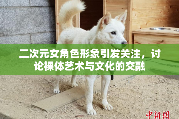 二次元女角色形象引发关注，讨论裸体艺术与文化的交融