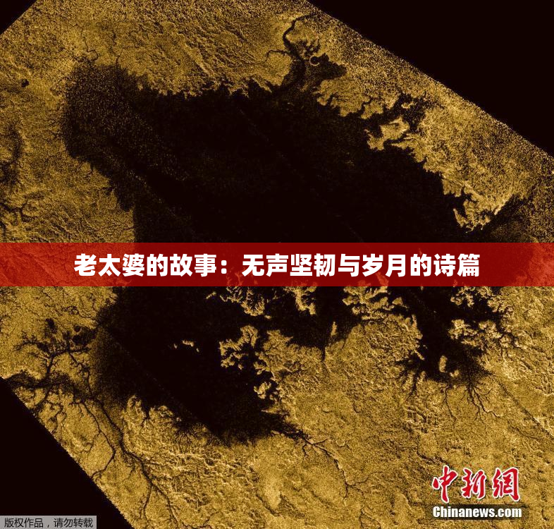 老太婆的故事：无声坚韧与岁月的诗篇