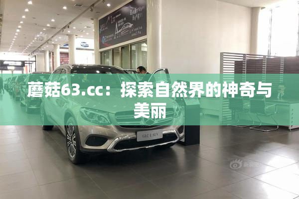 蘑菇63.㏄：探索自然界的神奇与美丽