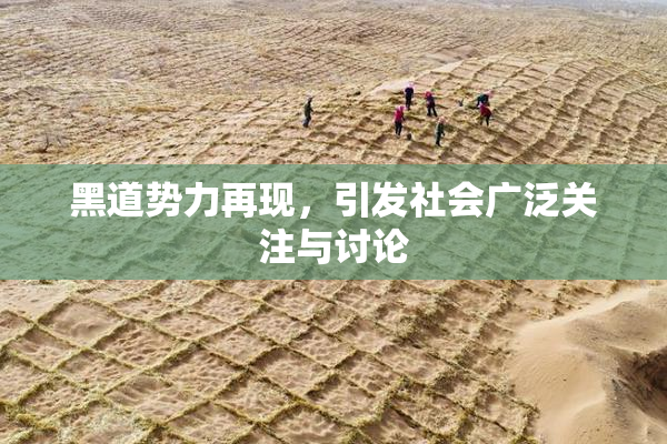 黑道势力再现，引发社会广泛关注与讨论