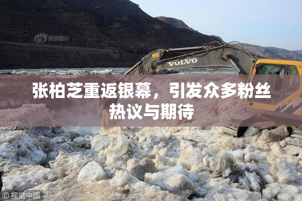 张柏芝重返银幕，引发众多粉丝热议与期待