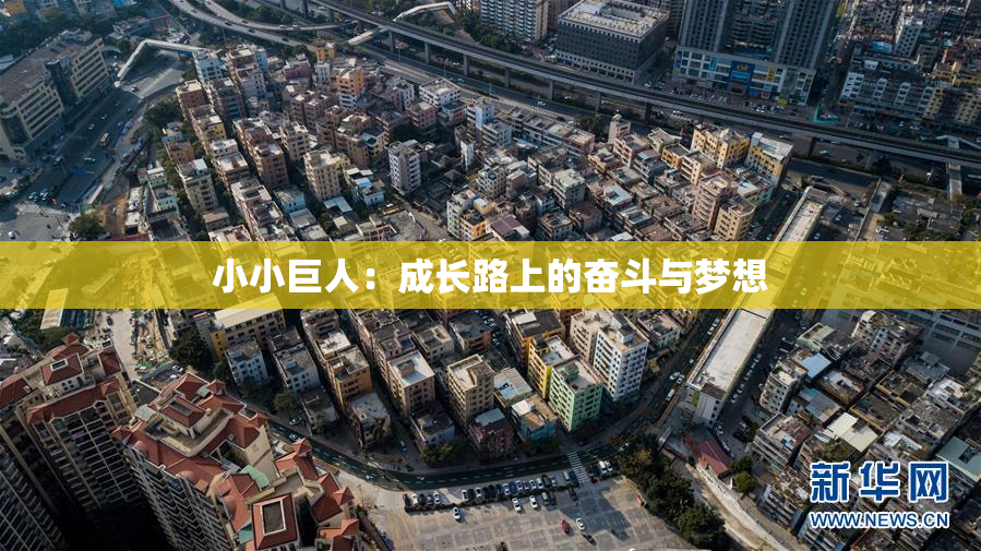 小小巨人：成长路上的奋斗与梦想