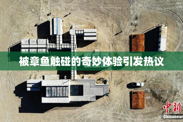 被章鱼触碰的奇妙体验引发热议