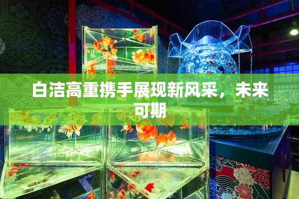 白洁高重携手展现新风采，未来可期