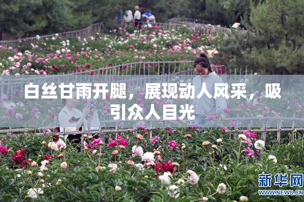白丝甘雨开腿，展现动人风采，吸引众人目光