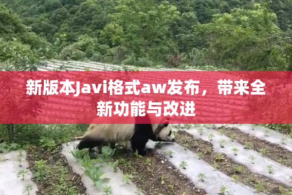 新版本Javi格式aw发布，带来全新功能与改进