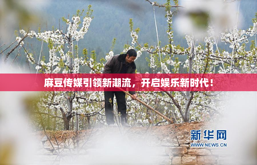 麻豆传媒引领新潮流，开启娱乐新时代！