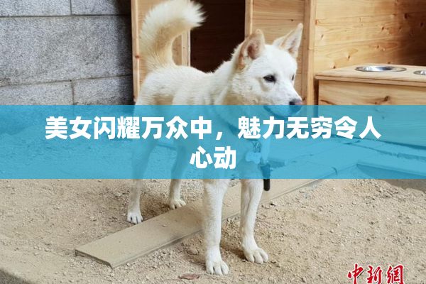美女闪耀万众中，魅力无穷令人心动