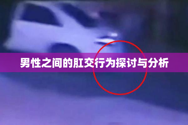 男性之间的肛交行为探讨与分析
