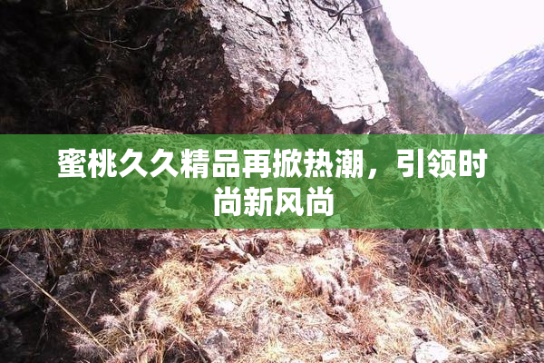 蜜桃久久精品再掀热潮，引领时尚新风尚