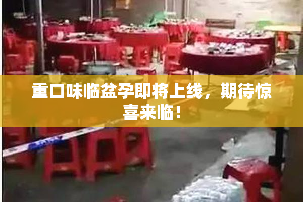 重口味临盆孕即将上线，期待惊喜来临！