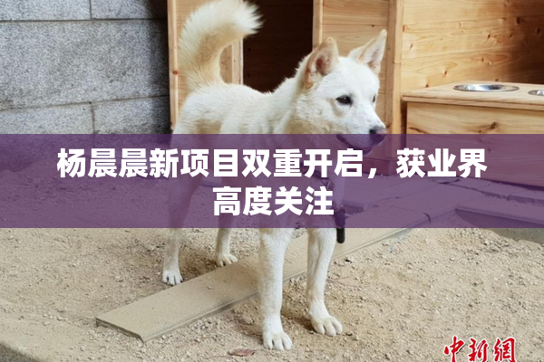 杨晨晨新项目双重开启，获业界高度关注