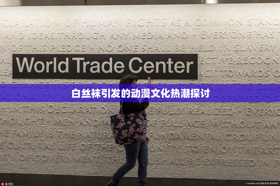 白丝袜引发的动漫文化热潮探讨