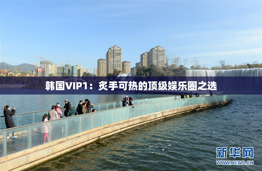 韩国VIP1：炙手可热的顶级娱乐圈之选