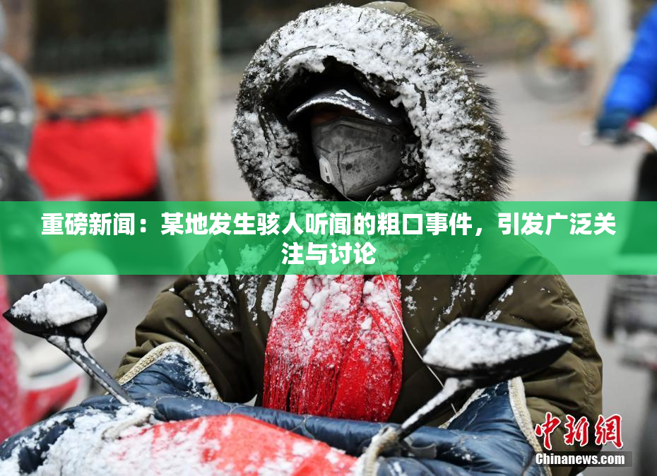 重磅新闻：某地发生骇人听闻的粗口事件，引发广泛关注与讨论
