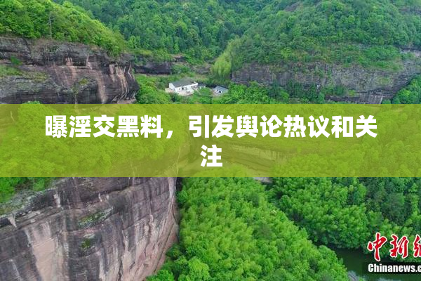 曝淫交黑料，引发舆论热议和关注